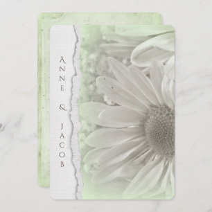 Convites margarida em matiz verde macia com borda rasgada d