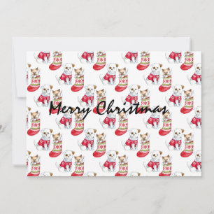 Convites Meias de Cachorro e Gato de Natal