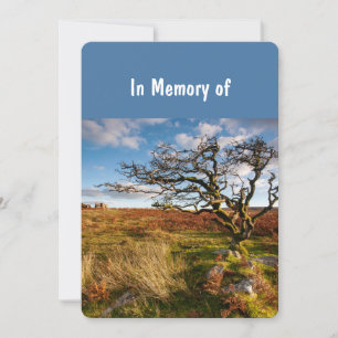 Convites Memorial Convidou Bonita Savannah Deserto