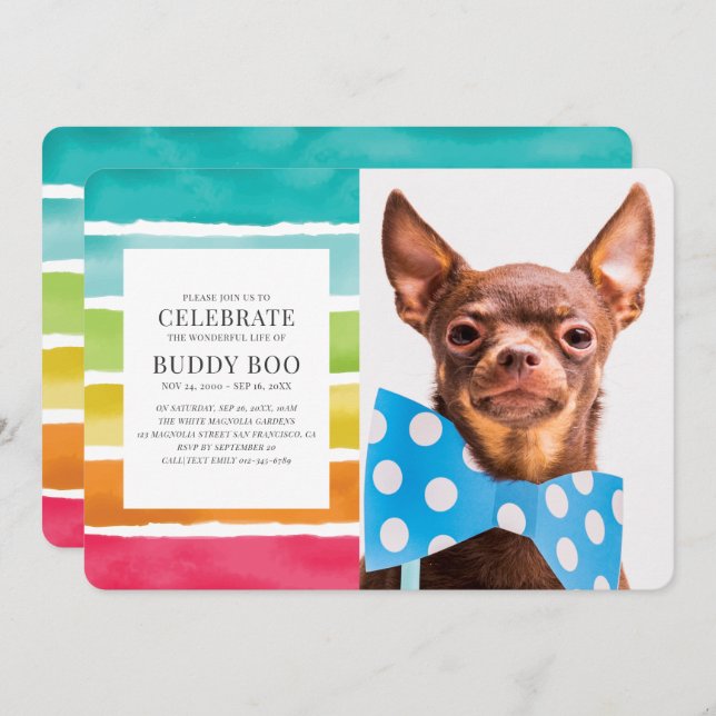 Convites Memorial do Rainbow Stripe Pet Moderno (Frente/Verso)