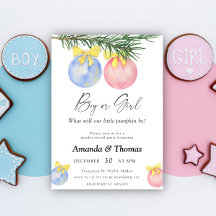 Menino ou menina - Festa de inverno - revelação de