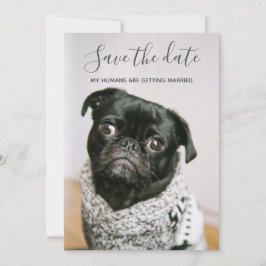 Convites Meus Humanos Casando Foto De Cachorro Salve A Data