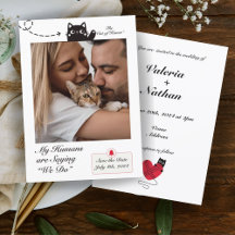 Meus Humanos estão dizendo que fazemos fotos de ga