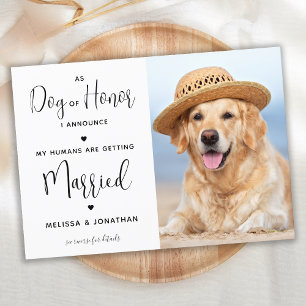 Convites Meus Humanos Estão se Casando Foto de Cachorro de 