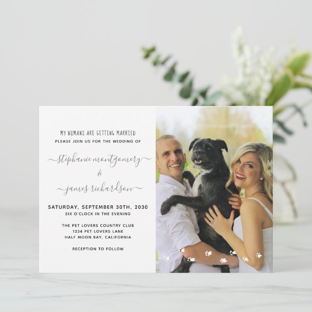 Convites Meus Humanos Estão Se Casando Foto de Casamento de (Em pé/Frente)