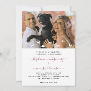 Convites Meus Humanos se Casando Foto de Casamento de Pet P