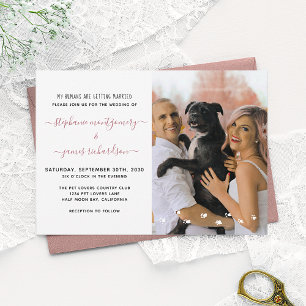 Convites Meus Humanos se Casando Foto de Casamento de Pet P