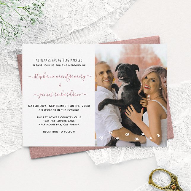 Convites Meus Humanos se Casando Foto de Casamento de Pet P (Criador carregado)