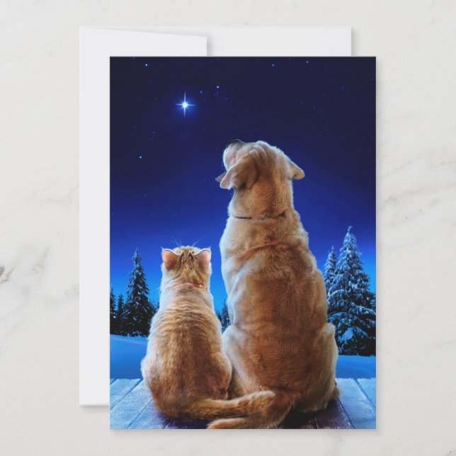 Convites Milagre de Natal de Gato e Cachorro (Frente)