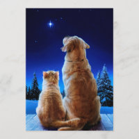 Milagre de Natal do Gato e do Cachorro