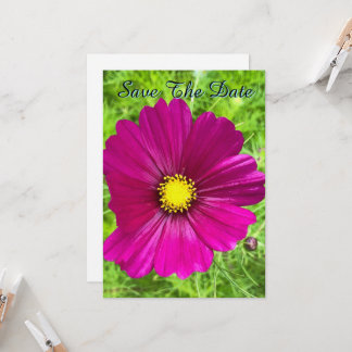 Convites Mind Edition: Cosmos Salve A Data