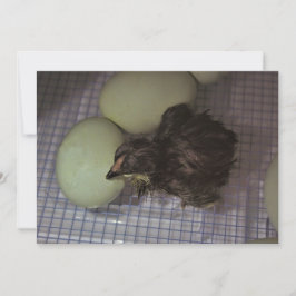 Convites Minutos velhos