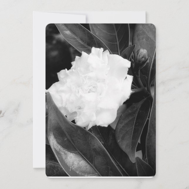 Convites Monocromo Bloom (Frente)