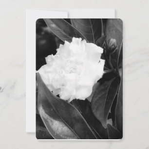 Convites Monocromo Bloom
