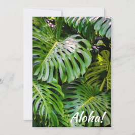 Convites Monstera Leaves, Limahuli Gardens, Kauai, Havaí