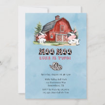 Moo Name Is Two Boy Festa de aniversário