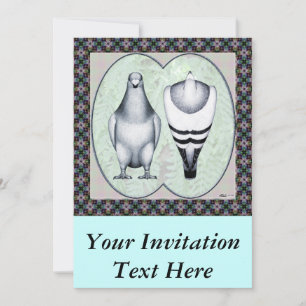 Convites Mostrar Padrão de Corrida