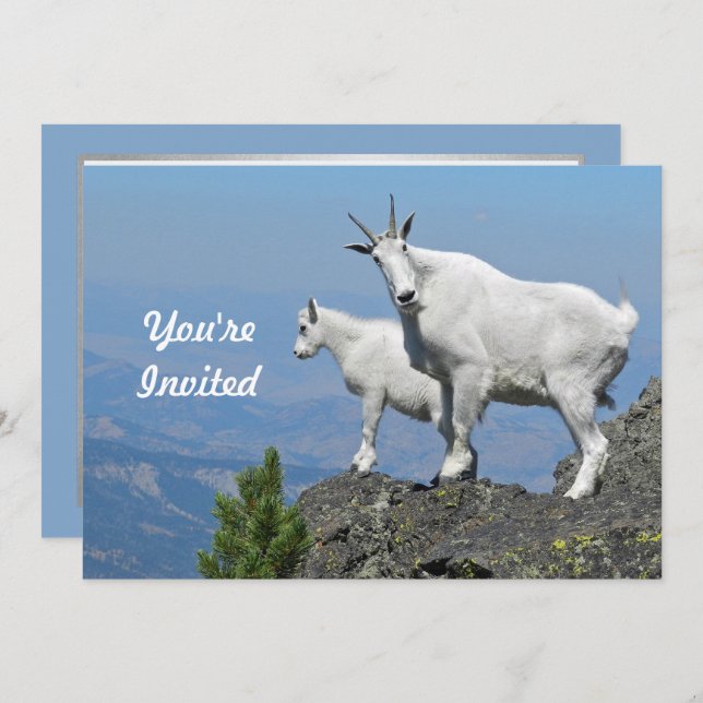 Convites Mountain Goats White Willife Foto Birthday (Frente/Verso)