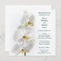 Música de Salomão 2:16a Meu amado é o meu casament