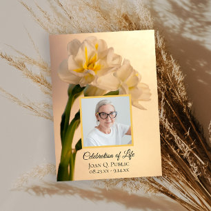 Convites Narcisos Brancos Duplos Celebração da Vida na Prim