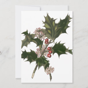 Convites Natal Antigo, Planta de Azevim Verde com Frutas