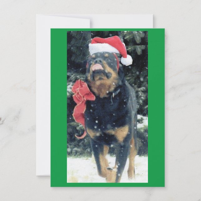 Convites natal rottweiler com chapéu de Papai Noel, vermelh (Frente)