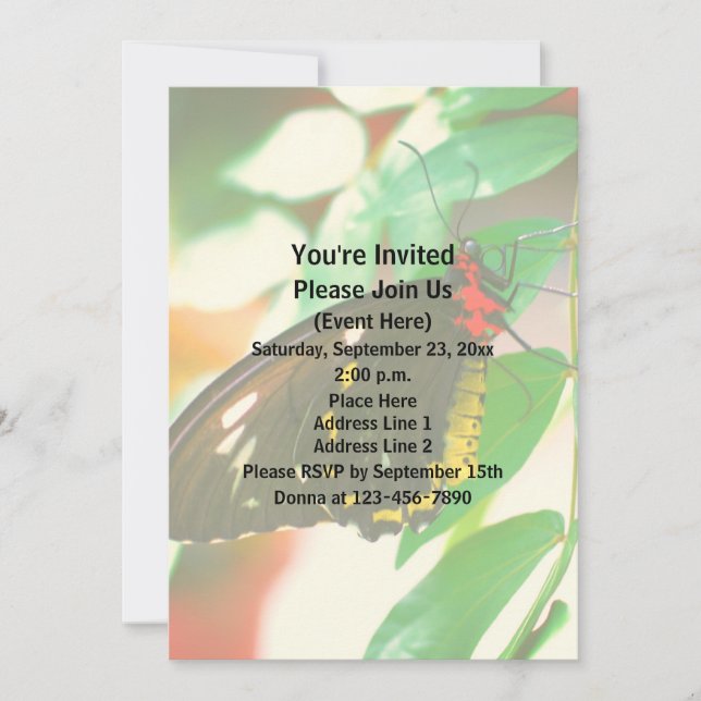 Convites Natureza da borboleta preta (Frente)