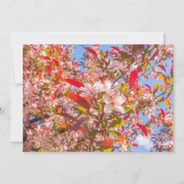 Convites Natureza floresce flores luz brilha sol (Frente)