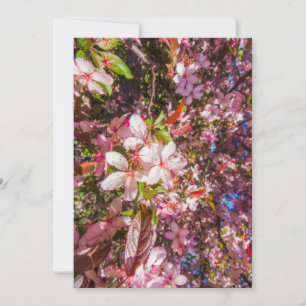 Convites Natureza floresce flores luz brilha sol
