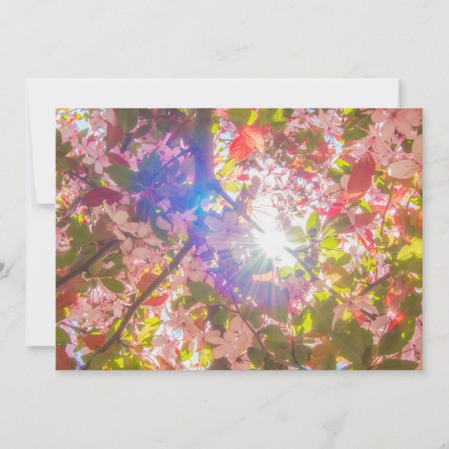 Convites Natureza floresce flores luz brilha sol (Frente)