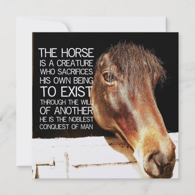 Convites NOBLE STALLION 5.25 x 5.25 card (Frente)