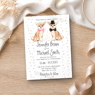 Convites Noiva de Cachorro Chihuahua Casamento Noivo
