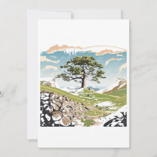 Convites Northumberland National Park Sycamore Gap Tree