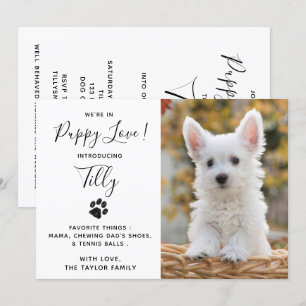 Convites Nova festa de Chá de Pet Dog