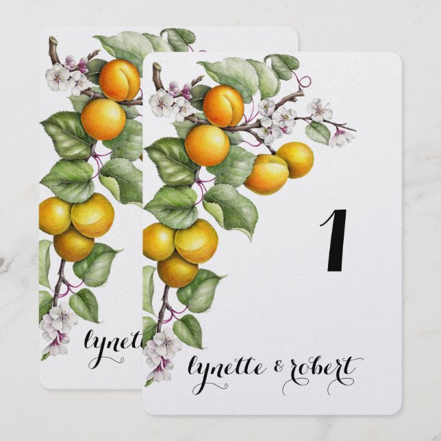 Convites Número da Mesa de Casamento com Aquarela de Frutas (Frente/Verso)