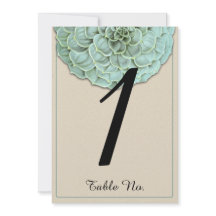 Número da Tabela de Casamento Sage Succulent