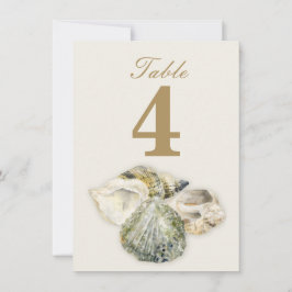 Convites Números de mesa para casamento com conchas marinha
