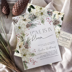 Convites O amor está no Bloom Winter Poinsettia Flowers