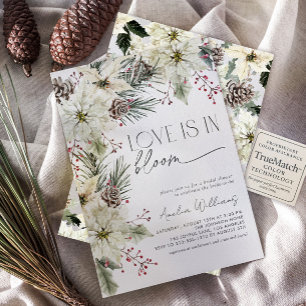 Convites O amor está no Bloom Winter Poinsettia Flowers