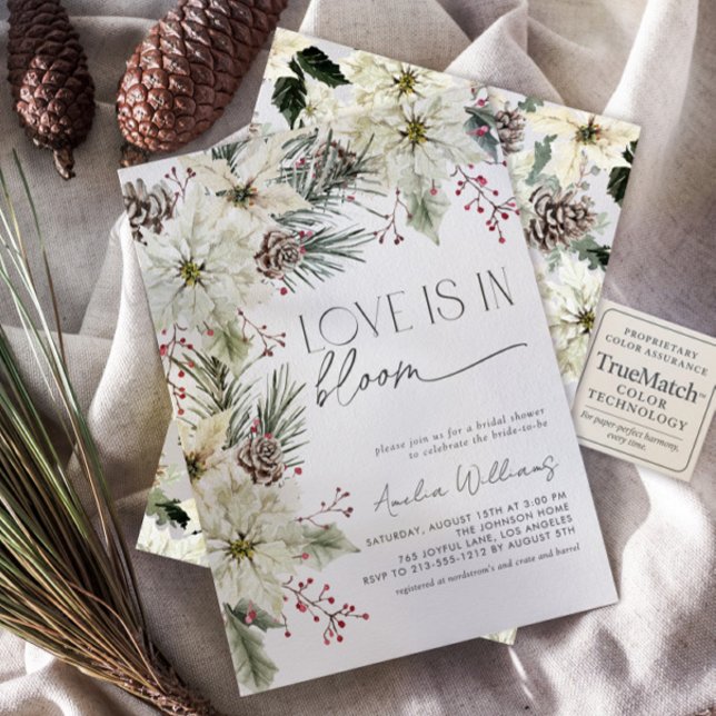 Convites O amor está no Bloom Winter Poinsettia Flowers (Criador carregado)