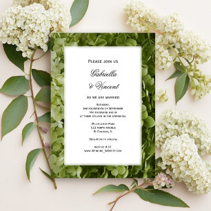 Convites O Hydrangea verde de Annabelle floresce o