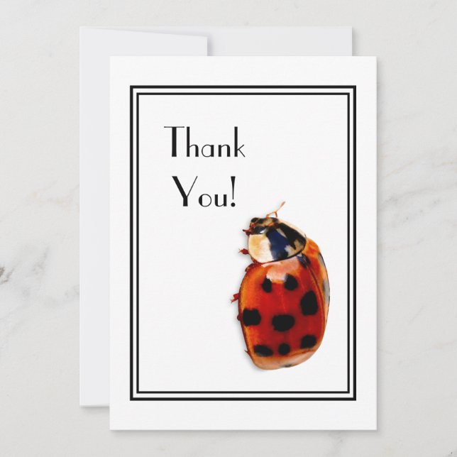 Convites Obrigado Chic Spotted Ladybug (Frente)