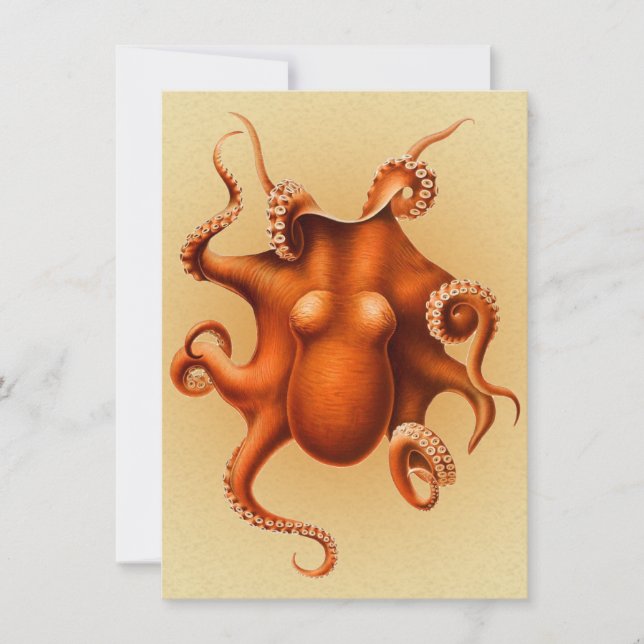 Convites Octopus Sea Monster Cephalapod Vintage (Frente)