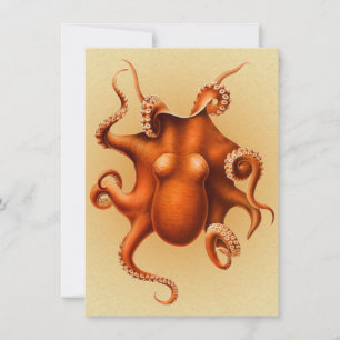 Convites Octopus Sea Monster Cephalapod Vintage