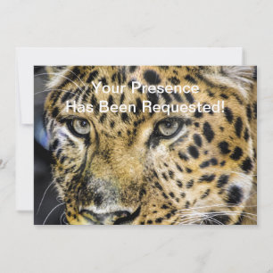 Convites Olhos de Leopardo