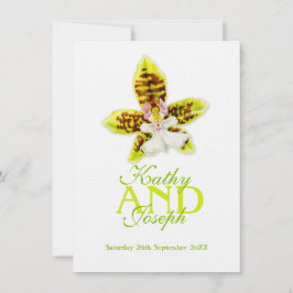 Convites Oncidium Leucochilum orchid flor verde