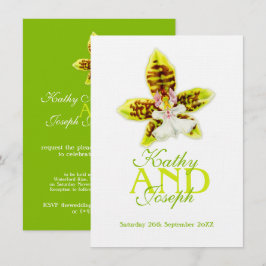 Convites Oncidium Leucochilum orchid flor verde