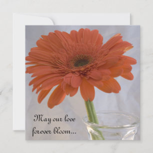 Convites Orange Gerber Daisy Wedding
