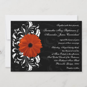 Convites Orange Gerbera Daisy com rolagem branca e negra