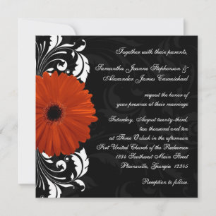 Convites Orange Gerbera Daisy com rolagem de preto e branco